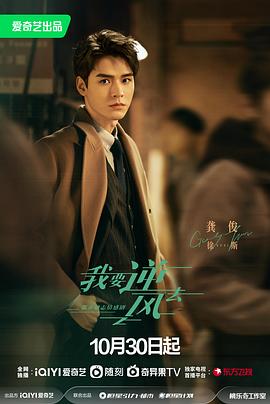 诚信服务seo优化定制